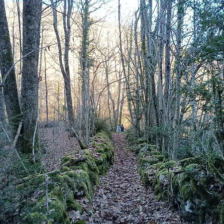 Groupe La Farigoule A