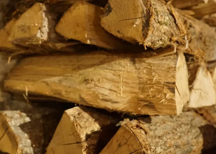 Groupe La Farigoule A Siguer