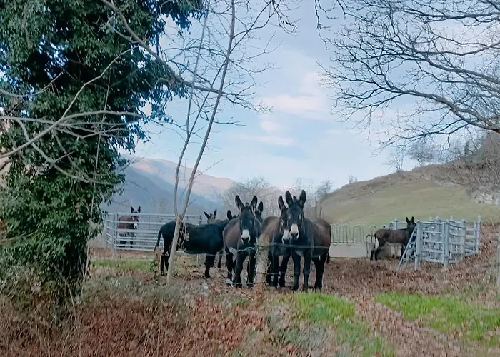 Groupe La Farigoule A Siguer