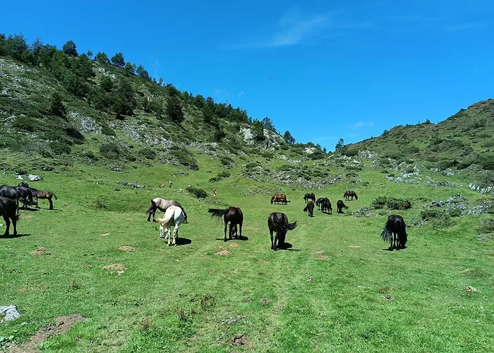 Groupe La Farigoule A Nyaraló Siguer