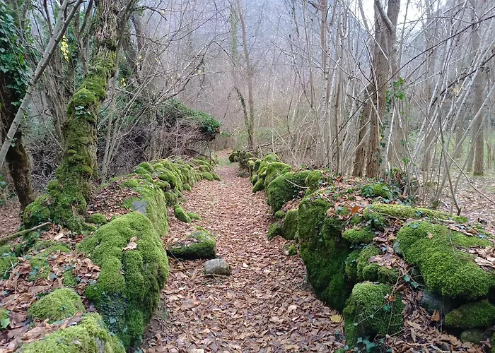 Groupe La Farigoule A * Siguer