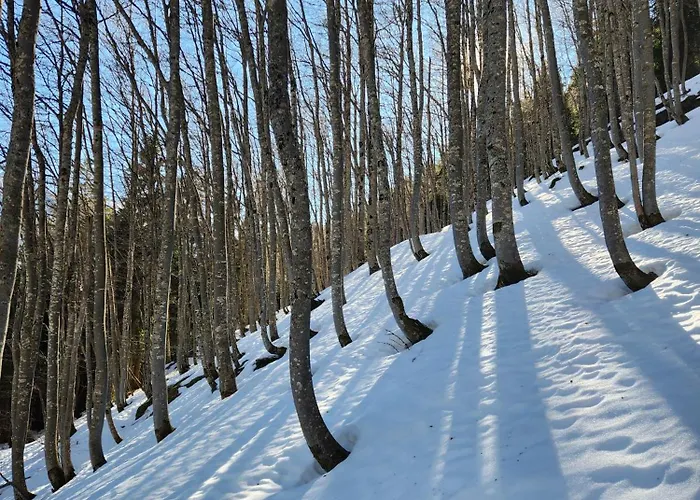 Nyaraló Groupe La Farigoule A *