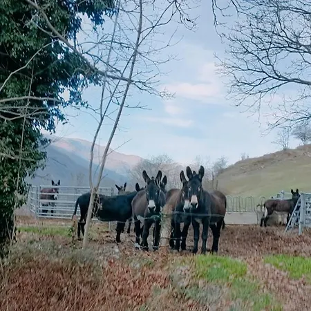 Groupe La Farigoule A Siguer