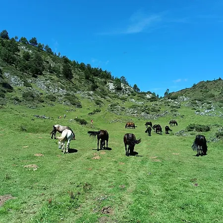 Groupe La Farigoule A Semesterbostad Siguer