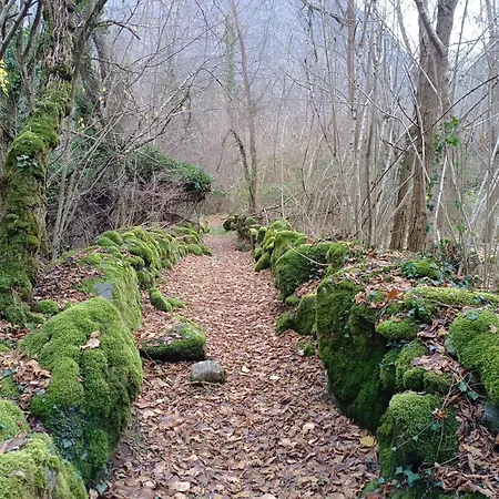 Groupe La Farigoule A * Siguer
