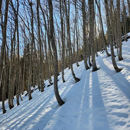 Semesterbostad Groupe La Farigoule A *