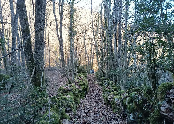 Groupe La Farigoule à